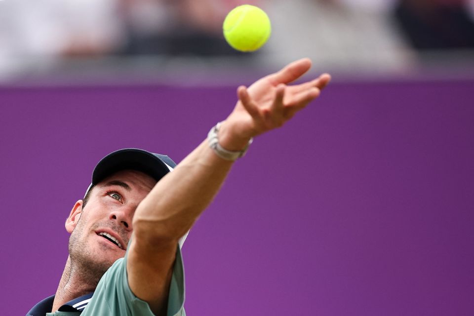 巧的巨大认 巧的巨大认