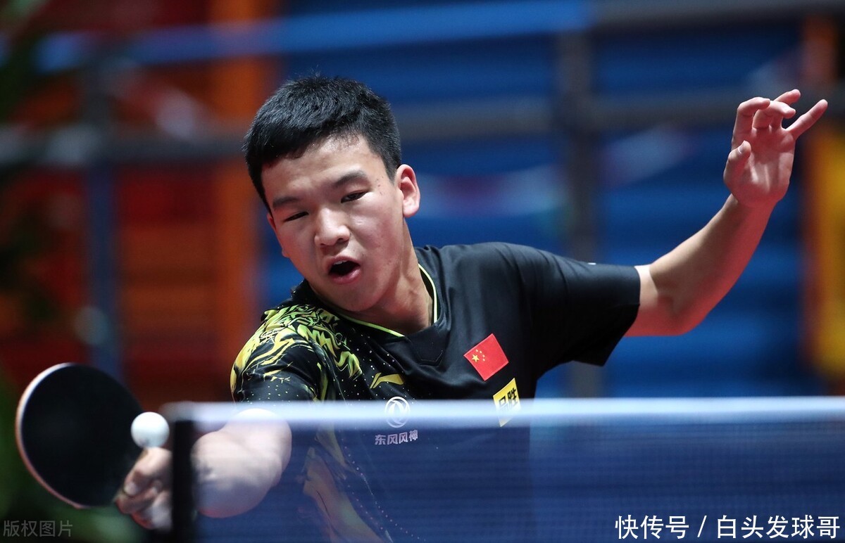 的报道来看 的报道来看